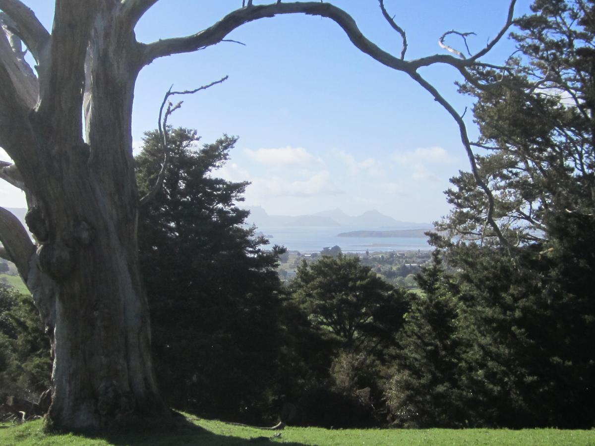 Hyecroft Lodge Whangarei Esterno foto
