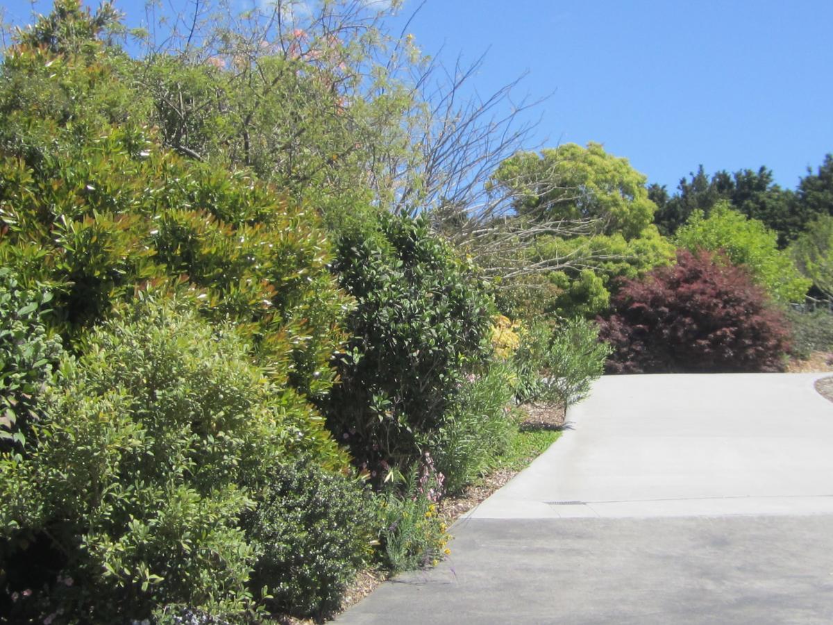 Hyecroft Lodge Whangarei Esterno foto